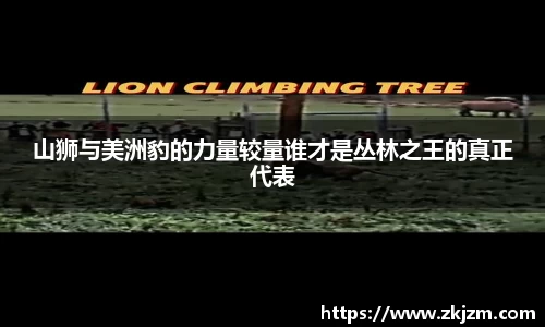 球速体育官方网站